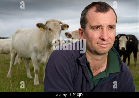 Rinderzüchter james Klein mit seiner Herde von Weiss gezüchtet beef Shorthorn cattle auf seiner Farm in die Mendip Hills, Somerset, Großbritannien Stockfoto