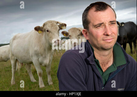 Rinderzüchter james Klein mit seiner Herde von Weiss gezüchtet beef Shorthorn cattle auf seiner Farm in die Mendip Hills, Somerset, Großbritannien Stockfoto