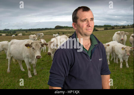 Rinderzüchter james Klein mit seiner Herde von Weiss gezüchtet beef Shorthorn cattle auf seiner Farm in die Mendip Hills, Somerset, Großbritannien Stockfoto