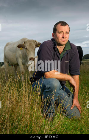 Rinderzüchter james Klein mit seiner Herde von Weiss gezüchtet beef Shorthorn cattle auf seiner Farm in die Mendip Hills, Somerset, Großbritannien Stockfoto