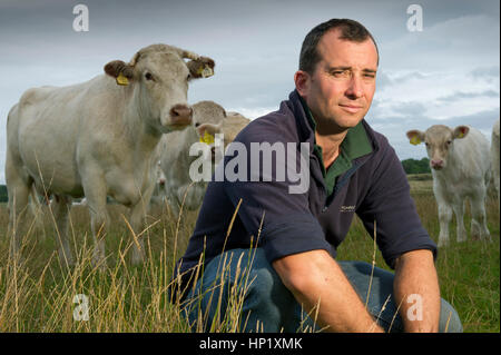 Rinderzüchter james Klein mit seiner Herde von Weiss gezüchtet beef Shorthorn cattle auf seiner Farm in die Mendip Hills, Somerset, Großbritannien Stockfoto