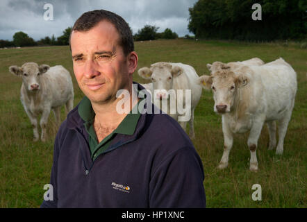 Rinderzüchter james Klein mit seiner Herde von Weiss gezüchtet beef Shorthorn cattle auf seiner Farm in die Mendip Hills, Somerset, Großbritannien Stockfoto