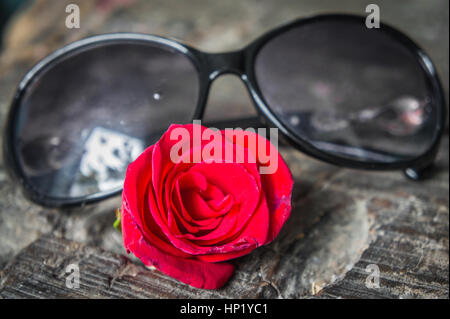 Damen Sonnenbrillen und rote rose auf einem Holztisch liegen. Close-up. Stockfoto