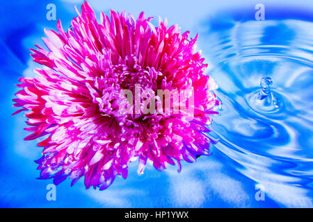 Blumen-arrangement Stockfoto