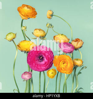 Blumen-Arrangement von bunten Ranunkeln auf Vintage-Hintergrund Stockfoto