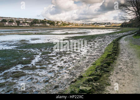 Ein Fußweg neben einen Zaum Weg nahe dem Fluß Gannel. Newquay; England; VEREINIGTES KÖNIGREICH. Stockfoto