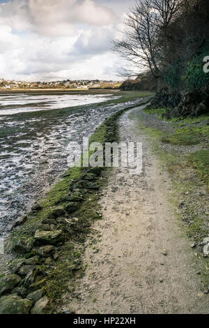 Ein Fußweg neben einen Zaum Weg nahe dem Fluß Gannel. Newquay; England; VEREINIGTES KÖNIGREICH. Stockfoto