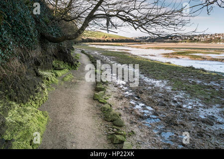 Ein Fußweg neben einen Zaum Weg nahe dem Fluß Gannel. Newquay; England; VEREINIGTES KÖNIGREICH. Stockfoto