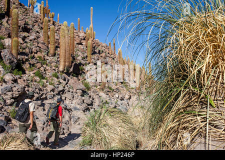 Trekking in Guantin Tal, in der Nähe von San Pedro de Atacama Atacama Wüste. Region de Antofagasta. Chile Stockfoto