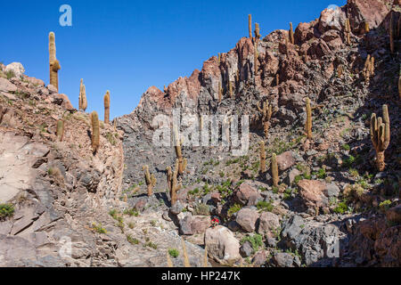 Trekking in Puritama Fluss, Guantin Tal oder die Schlucht, in der Nähe von San Pedro de Atacama Atacama Wüste. Region de Antofagasta. Chile Stockfoto