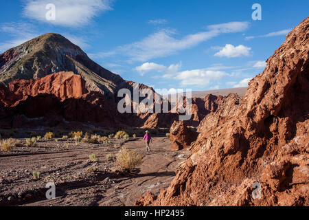 Valle del Arcoiris (Rainbow Valley), Atacama-Wüste. Region de Antofagasta. Chile Stockfoto