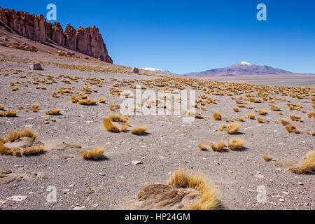 Anden am rechten und am linken Las Catedrales (Kathedralen) Rock-Formation, in der Nähe von Salar de Tara, Altiplano, Puna, Atacama-Wüste. Region de ein Stockfoto