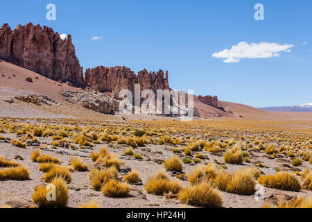 Am links Las Catedrales (Kathedralen) Rock-Formation, in der Nähe von Salar de Tara, Altiplano, Puna, Atacama-Wüste. Region de Antofagasta. Chile Stockfoto