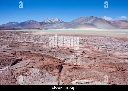 Piedras Rojas, in Salar de Talar oder Salar de Aguas Calientes, Salzebenen, Atacama Wüste, Region Antofagasta. Chile Stockfoto