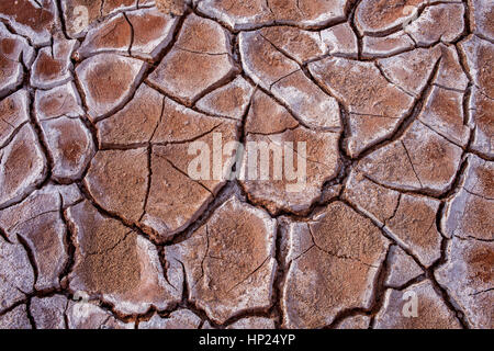 Detail, trockene rissige Boden und Salz, im Valle De La Muerte (Tal des Todes), Atacama-Wüste. Region de Antofagasta. Chile Stockfoto