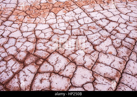 Detail, trockene rissige Boden und Salz, im Valle De La Muerte (Tal des Todes), Atacama-Wüste. Region de Antofagasta. Chile Stockfoto