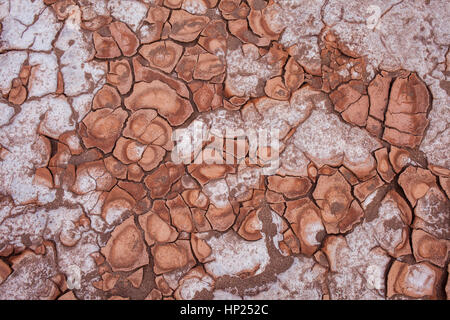 Detail, trockene rissige Boden und Salz, im Valle De La Muerte (Tal des Todes), Atacama-Wüste. Region de Antofagasta. Chile Stockfoto