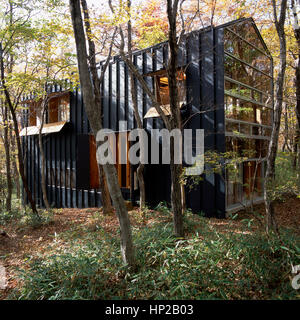 Zeitgenössisches japanisches Haus im Wald umgeben von Bäumen, Japan Stockfoto