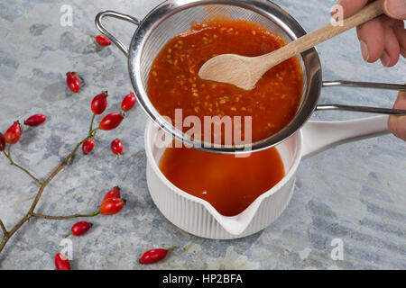 Hagebutten-Marmelade Kochen, Marmelade aus Hagebutten Kochen, Gekochte Früchte Werden Durch Ein Sieb Gepresst, nötigenfalls-Rose, Hundsrose, Heckenrose, Rose Stockfoto