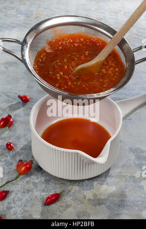 Hagebutten-Marmelade Kochen, Marmelade aus Hagebutten Kochen, Gekochte Früchte Werden Durch Ein Sieb Gepresst, nötigenfalls-Rose, Hundsrose, Heckenrose, Rose Stockfoto