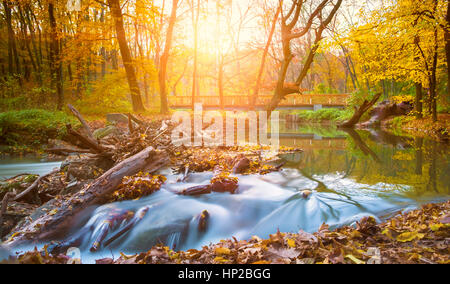 Herbst Fluss und Wald Stockfoto