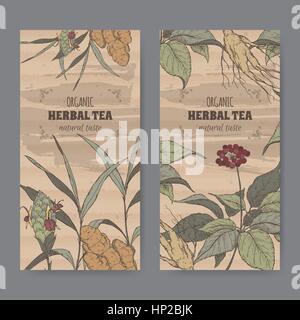 Zwei Farbe Vintage Etiketten für Ingwer und Ginseng Tee. Stock Vektor
