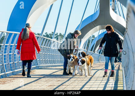 Solvesborg, Schweden - 14. Februar 2017: Ökologische Dokumentarfilm der längsten Fußgängerbrücke in Europa. Menschen mit Hunden zu Fuß unter der arche Stockfoto