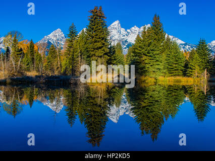Schwabacher's Landing mit der Grand Tetons Reflexion, Wyoming Stockfoto