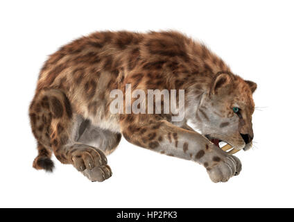 3D-Rendering einer Sabertooth isoliert auf weißem Hintergrund Stockfoto