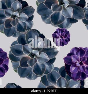 nahtlose Muster mit Sukkulenten unterschiedlicher Farbe. Vektor-Illustration. Blumenkarte Stock Vektor