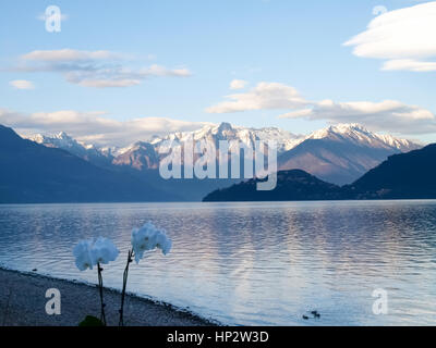 Pianello del Lario, Como - Italien: Abendlicht am Comer See mit schneebedeckten Bergen und trübe bestimmten Konformationen Stockfoto