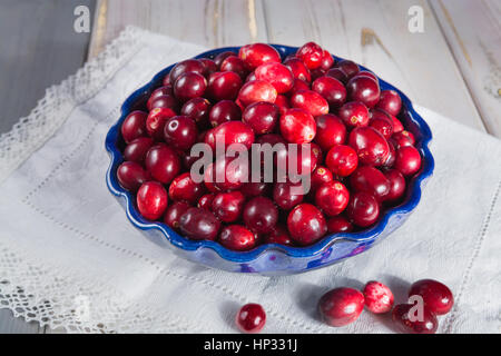 Roten Preiselbeeren in einer blauen Schüssel. Reifen Beeren von Vaccinium Macrocarpon, auch große Moosbeere, amerikanische Moosbeere oder Bärentraube. Stockfoto