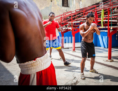 Jung, Training, in Rafael Trejo Boxing Gym, Habana Vieja, La Habana, Kuba Stockfoto