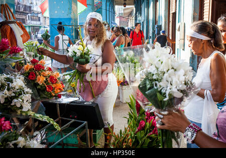 Blumengeschäft weibliche Vorbereitung Blüten blühen shop, Habana Vieja-Bezirk, La Habana, Kuba Stockfoto