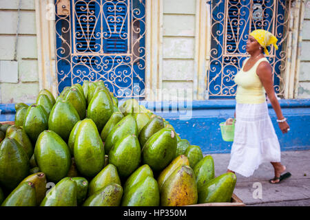 Avocados Stall in Corrales Straße, Centro Habana Bezirk, La Habana, Kuba Stockfoto