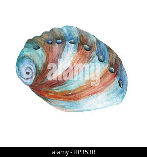 Objektmenge Unterwasserwelt - Illustrationen von verschiedenen tropischen Muscheln und Seesterne.  Handgezeichnete Aquarellmalerei auf braunem Hintergrund. Stockfoto