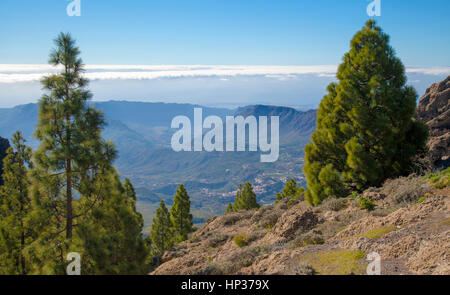 zentralen Gran Canaria im Januar, Blick vom Pozo de Las Nieves ins Tirajana-Tal Stockfoto