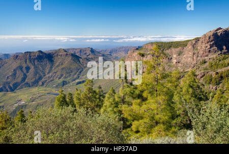 zentralen Gran Canaria im Januar, Blick vom Pozo de Las Nieves Ito Tirajana-Tal Stockfoto