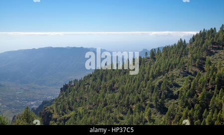 zentralen Gran Canaria im Januar, Pozo de Las Nieves - Santa Lucia de Tirajana Weg, Blick ins Tirajana-Tal Stockfoto