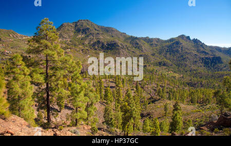 zentralen Gran Canaria im Februar, Blick über Tal Barranco de Chira in Richtung Cruz Grande Stockfoto