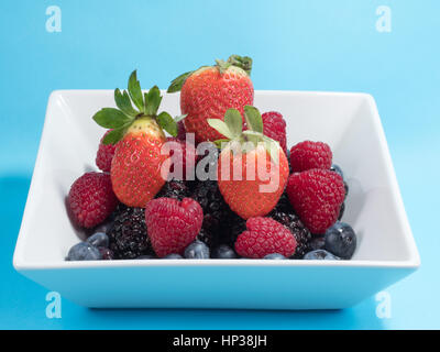 Gemischte Winter Früchte von Heidelbeeren, Himbeeren, Blackberrys und Obstüberguss in eine Schüssel weiß auf blauem Hintergrund Stockfoto