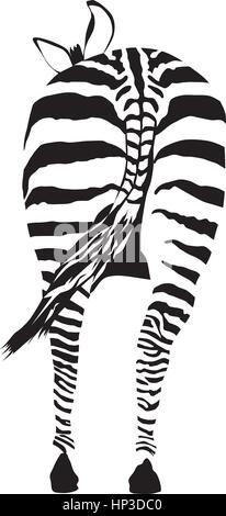 Zebra - Vektor-Illustration Vorderansicht, schwarz und Null Stock Vektor