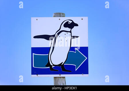 Wegweiser, Pinguine, Roadsign, Richtung, Pinguine, Bettys Bay, Western Cape, Südafrika, Afrika Stockfoto