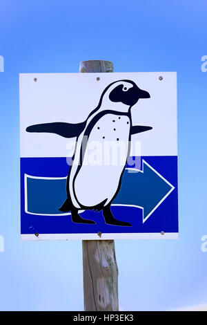 Wegweiser, Pinguine, Roadsign, Richtung, Pinguine, Bettys Bay, Western Cape, Südafrika, Afrika Stockfoto