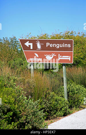 Wegweiser, Pinguine und Whalewatch, Roadsign, Richtung, Pinguine, Richtung, Wale beobachten, Bettys Bay, Western Cape, Südafrika, Afrika Stockfoto