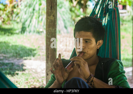 Wir analysieren die Verwendung von Waldprodukte und Dienstleistungen für Einkommen unter den indigenen Haushalten im kolumbianischen Amazonas. Wir finden, dass Familien wieder Stockfoto