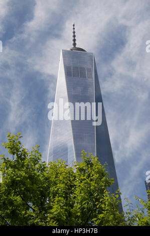 One World Trade Center mit Baum im Vordergrund Stockfoto