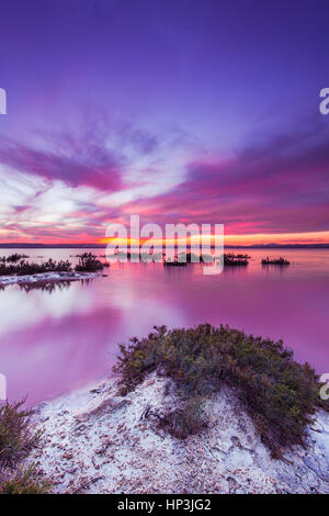 Laguna Salada in Torrevieja, Spanien. Salzsee bei Sonnenuntergang. Salinas Naturpark. Stockfoto