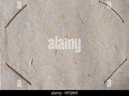 Stück von einem alten Papier, Teil des Fotoalbum Stockfoto