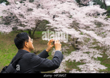 Menschen Sakura Blumen betrachten und Fotografieren in der Nähe der Hofburg in Tokio, Japan Stockfoto